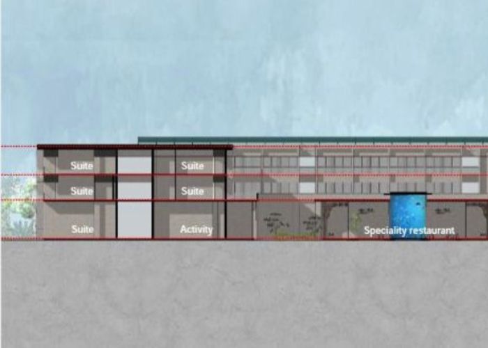 Untitled design (56)