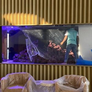 Untitled design (59)