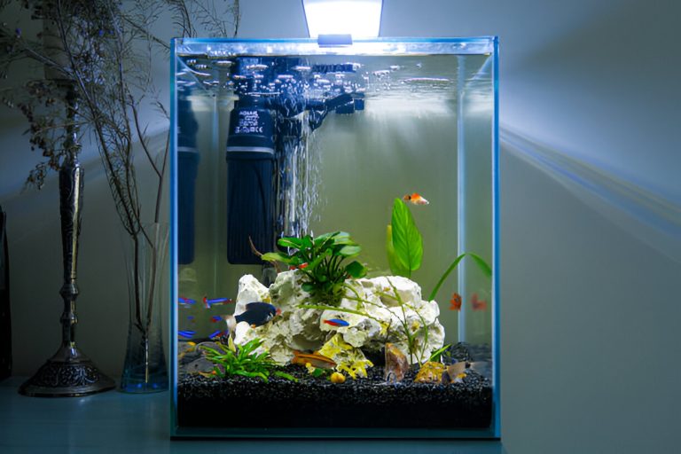 Fresh Look at Incorporating Aquariums Into Modern Interior Design Trends