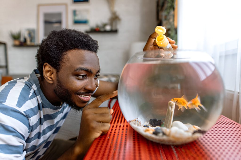 Innovations in Aquarium Technology